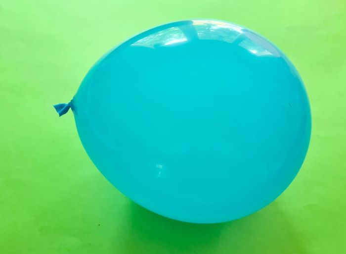 Inflate the balloon : this will serve as the body of your dinosaur.