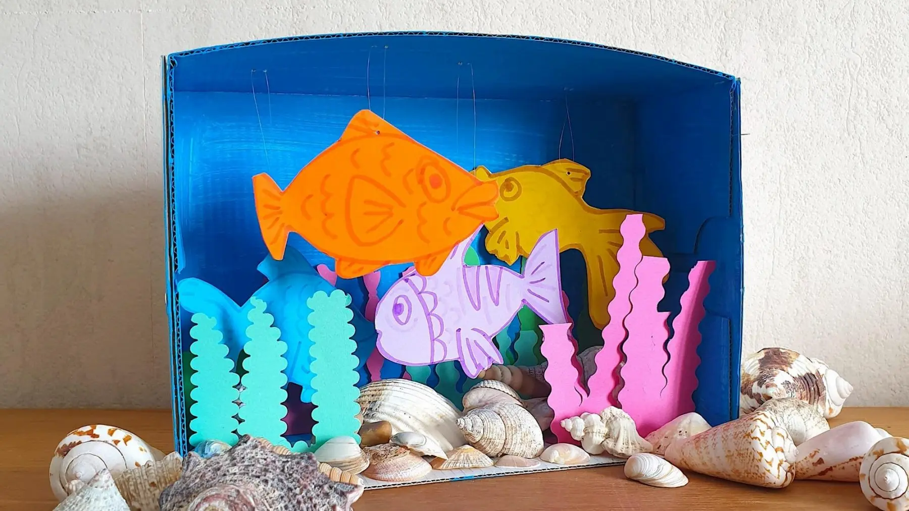 3D Shoebox Aquarium - Maped Helix DIY Activity
