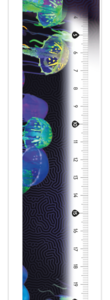 MAPED Deepsea Ruler 30cm